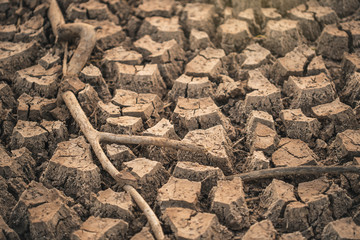 The fields are dry, the land is broken. And the evening sun. Dry cracked earth texture background. Cracked soil or mud pattern, Surface of drought land.