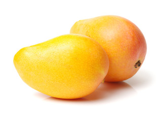 Mango on white background
