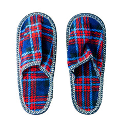 A pair of colorful comfortable, cushioned, checkered disposable slippers are on the wooden floor. Isolated on white. Close-up.