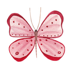 Pink butterfly, hand painted watercolor illustration