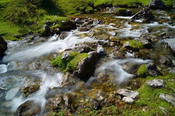 Stream in the Pyrenees.