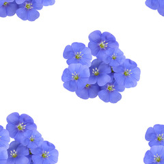 Flowers blue flax. Seamless pattern on a white background