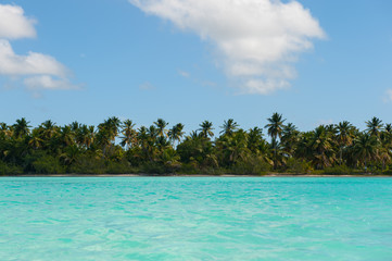Beautiful view on the beach on Saona Island. White sand and palm trees and blue sea and chaise longues
