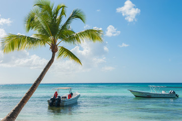 Naklejka na ściany i meble Saona Island. Dominican Republic 17.01.2020. Sea view with palm tree and boats. Summer