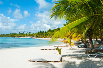 Beautiful view on the beach on Saona Island. White sand and palm trees and blue sea and chaise longues