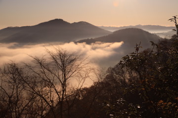 鎌倉山の雲海