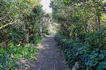 仁右衛門島の風景　千葉県鴨川市　日本