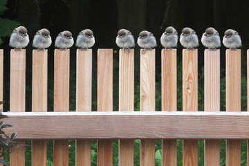 Leerer Platz