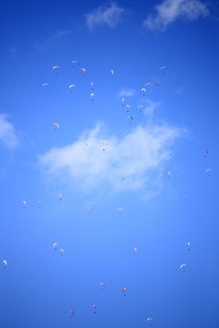 many flying para-glider