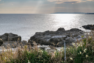 仁右衛門島からの海の風景　千葉県鴨川市　日本