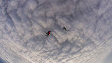 Protection. Professional equipment protects the skydiver during the flight. Bird eye height.