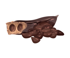 Carob Pod with Seeds Isolated on White Background Vector Illustration