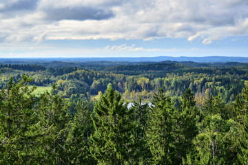 Haanja / Vorumaa, Estonia - View of the forest from the highest Baltic mountain Suur-Munamagi,...
