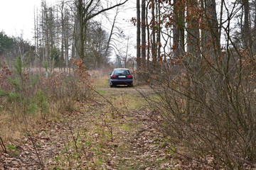 Polna droga przez las i stojący na poboczu samochód w pochmurny dzień. - obrazy, fototapety, plakaty