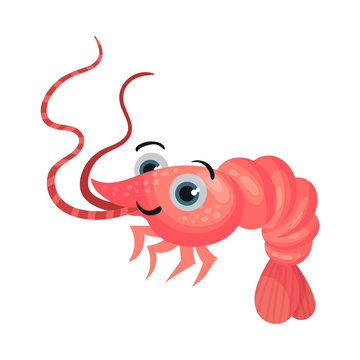 Cute Shrimp Cartoon Character with Big Eyes Vector Illustration