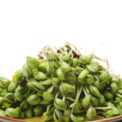 Black bean sprouts on white background