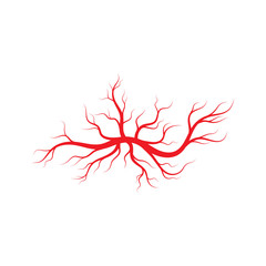 Human veins and arteries illustration design
