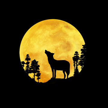 Moonrise over the forest. Calm night illustration with wolf silhouette