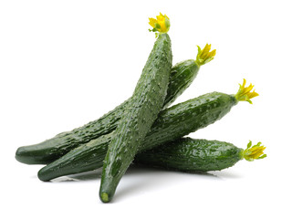 Green cucumber on the white background 