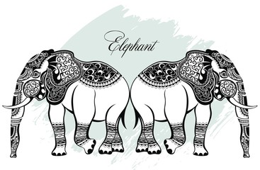 Big set card with Elephant.  Illustration for design, pattern, textiles. 