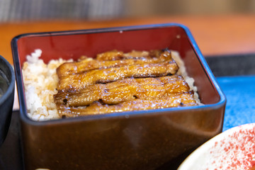 Unagi lunch set - GRILLED EEL Japanese Food