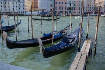 gondolas in venice near the pier