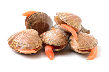 Stacked fresh raw clams on white background