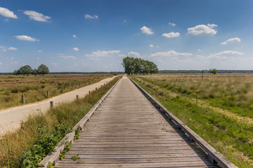 Fototapeta na wymiar Wooden bicycle bridge in national park Dwingelderveld, Netherlands