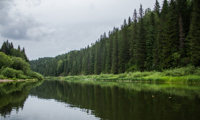 lake in forest