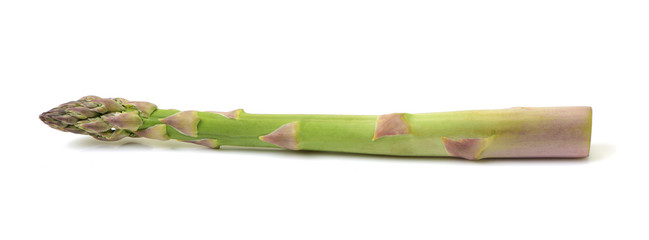 Fototapeta premium Asparagus on white background