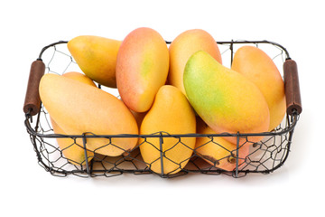 Mango on white background