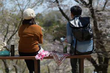 お花見