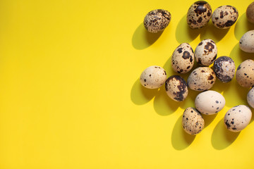 Quail eggs on a bright yellow background