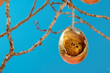 Colored Easter eggs hanging on dry branches. Easter concept