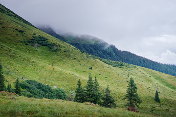 Beautiful mountains landscape with green hiils and meadows. Carpathians, Ukraine.