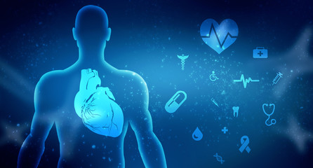 2d illustration  Anatomy of Human Heart 