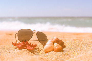 Sea Shells sunglasses on Sand. Summer Beach Background