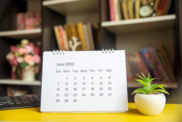 Planner and Calendar Concept.Desktop Calendar 2020 and vase of cactus placed on office desk in library.
