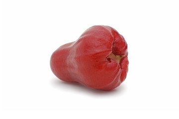 Single of rose apples, chomphu or thailand apple fruit isolated on white background