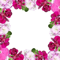 Beautiful floral pattern of pelargonium and petunia. Isolated