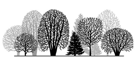 Black silhouettes of trees on a white background. Winter forest. Naked trees silhouettes set.
