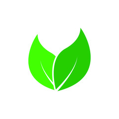 Green leaves icon. Vector illustration isolated on white background.