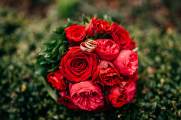 Trauringe Eheringe Ringe auf dem Braustrauss aus roten Rosen