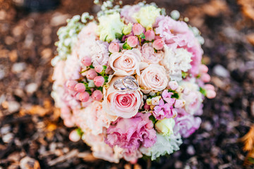 Braustrauss und Ringe