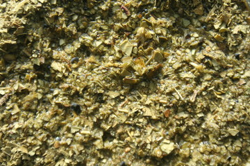 Horizontal Close-Up Of Hot Traditional South American Caffeine-Rich Infused Drink Mate In Traditional Calabash Gourd. Hot Steaming Yerba Mate Tea