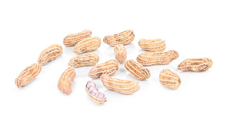  Peanut on a white background