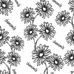 seamless daisy pattern graphic outline monochrome background flowers nature wallpaper vector illustration print