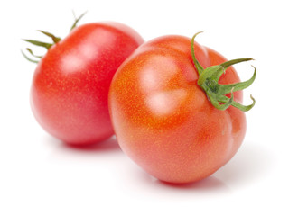 fresh tomato isolated on white background