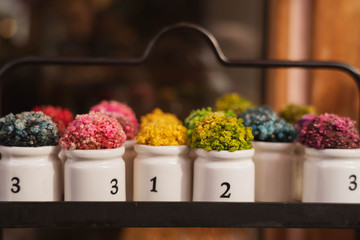 Mini small colorful plant decorations on a white ceramic flower vase with number. Decorative flowers displayed on a shelf.