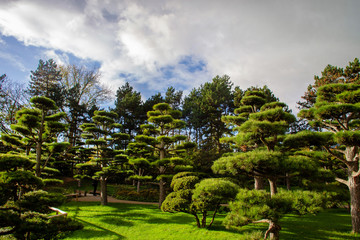 Japanese  garden in North PArk of Dusseldorf, Germany.